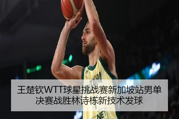 王楚钦WTT球星挑战赛新加坡站男单决赛战胜林诗栋新技术发球