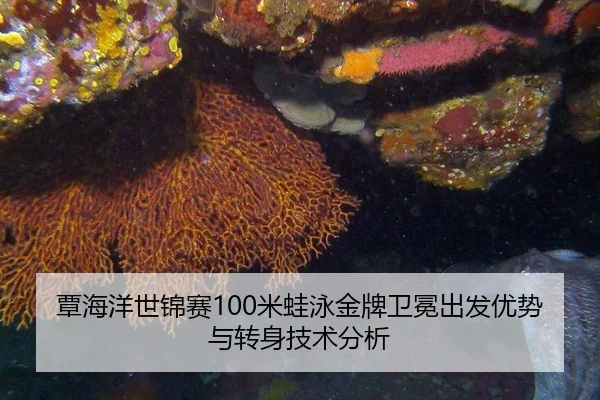 覃海洋世锦赛100米蛙泳金牌卫冕出发优势与转身技术分析
